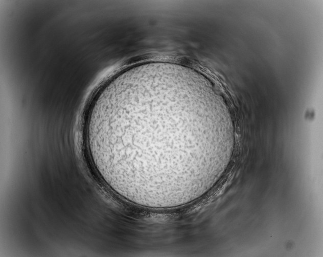 X0000103410149200810101004