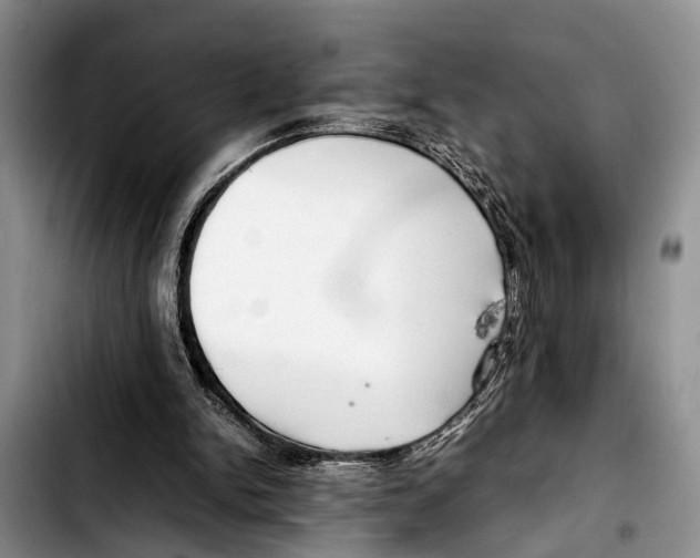 X0000103410150200810101004