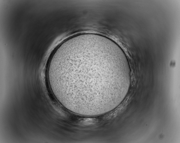 X0000103410151200810101004