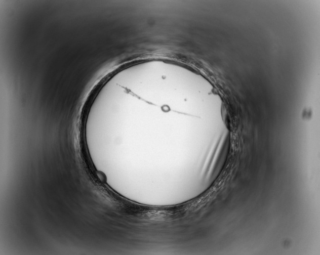 X0000103410152200810101004