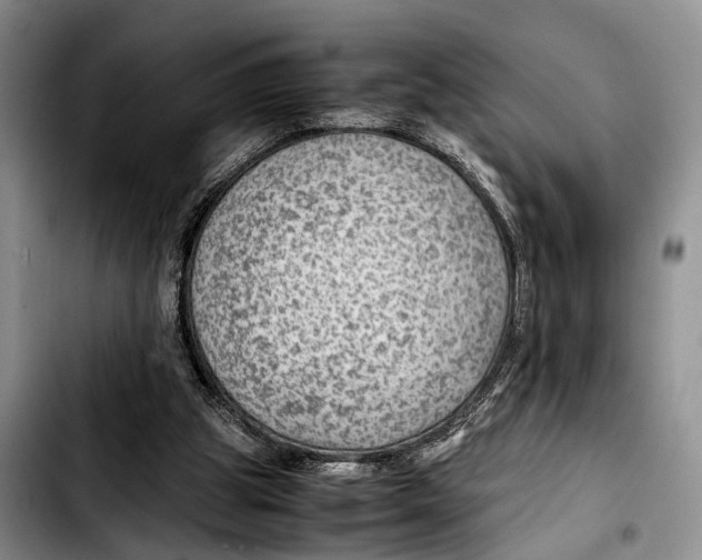 X0000103410153200810101004