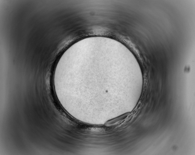 X0000103410154200810101004