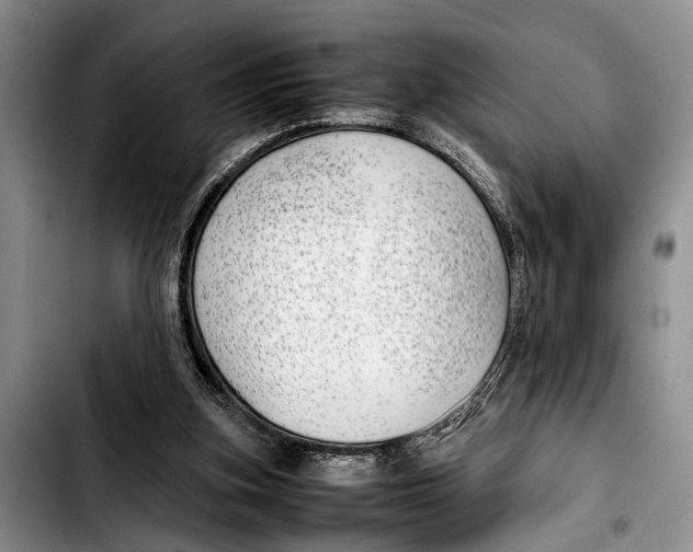 X0000103410155200810101004