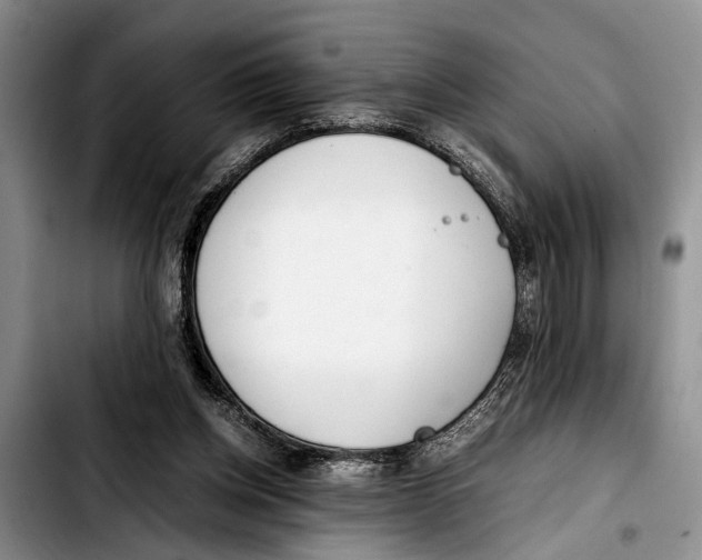 X0000103410158200810101004