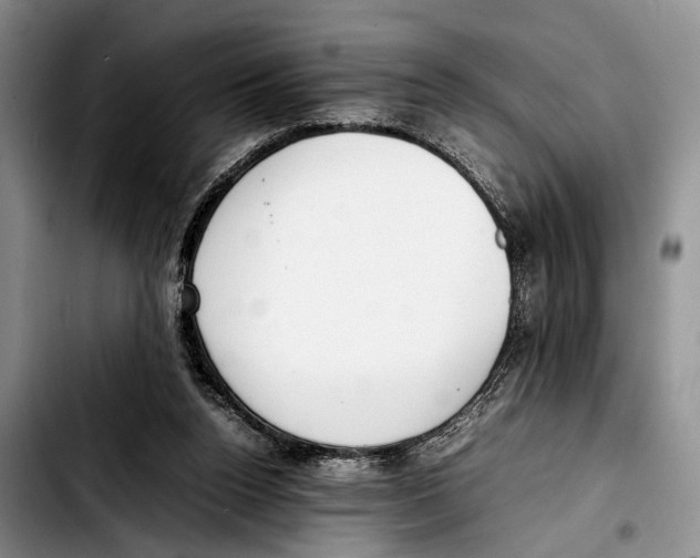 X0000103410160200810101004