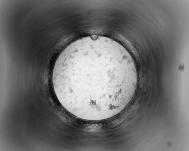 X0000103410161200810101004