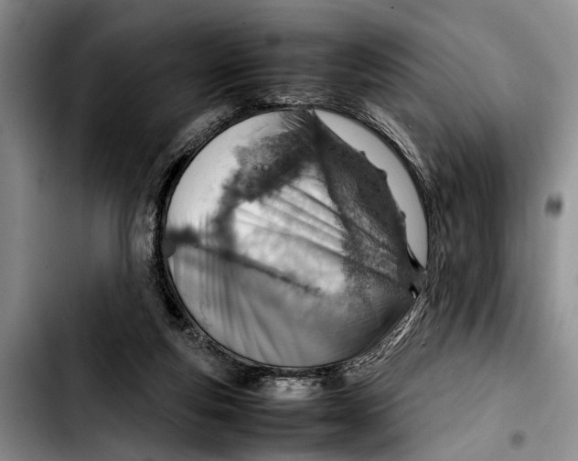 X0000103410163200810101004