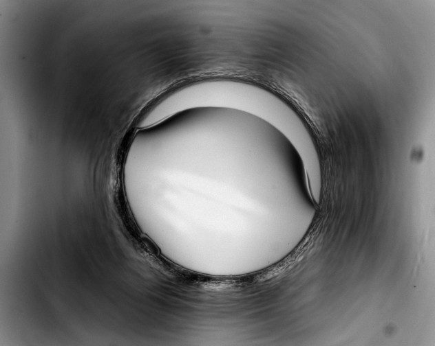 X0000103410164200810101004