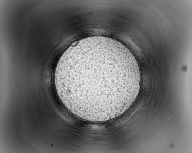 X0000103410165200810101004