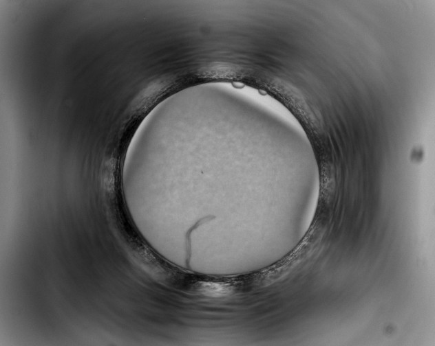 X0000103410167200810101004