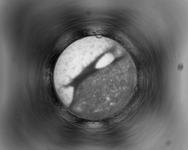 X0000103410169200810101004