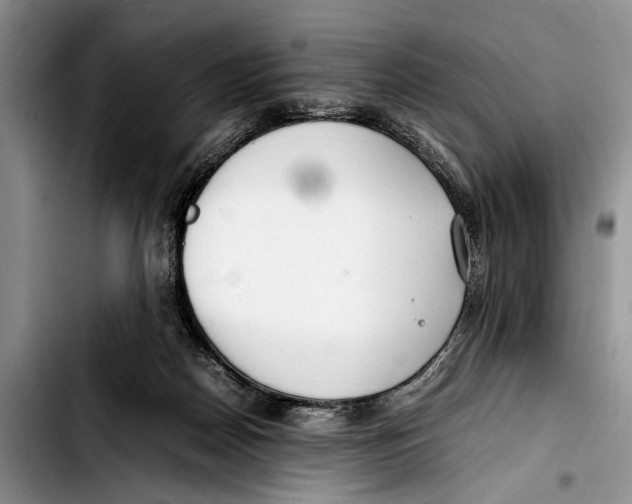 X0000103410170200810101004