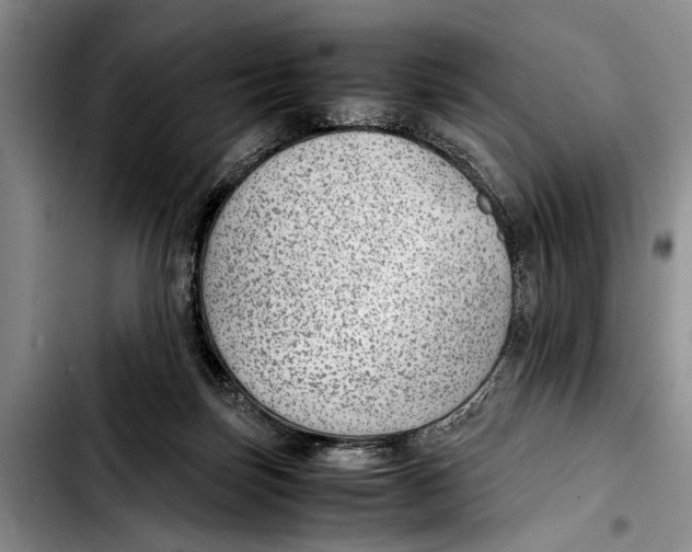 X0000103410171200810101004