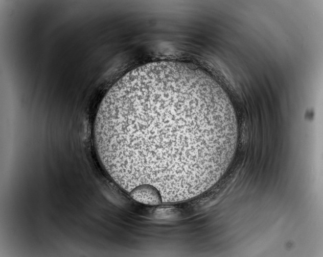 X0000103410173200810101004