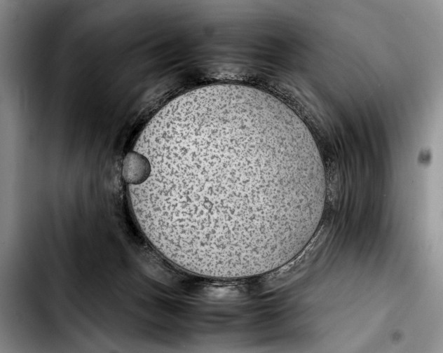 X0000103410175200810101004