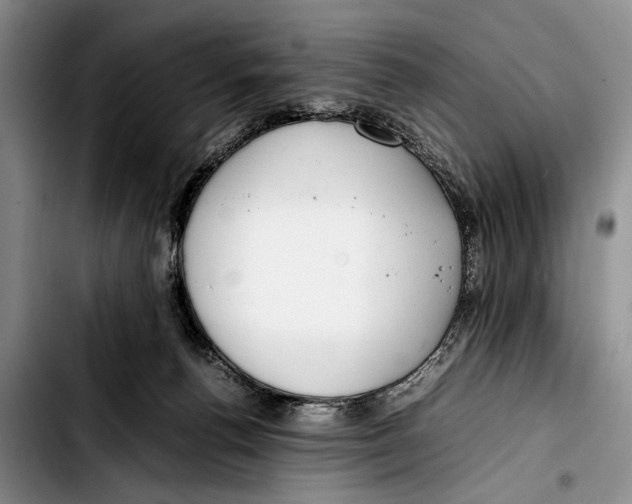 X0000103410176200810101004