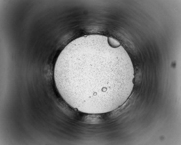 X0000103410179200810101004