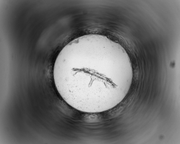 X0000103410181200810101005