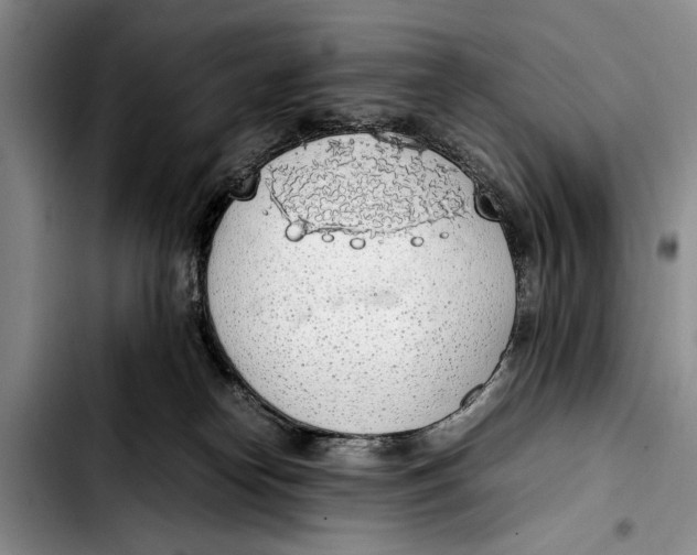 X0000103410182200810101005