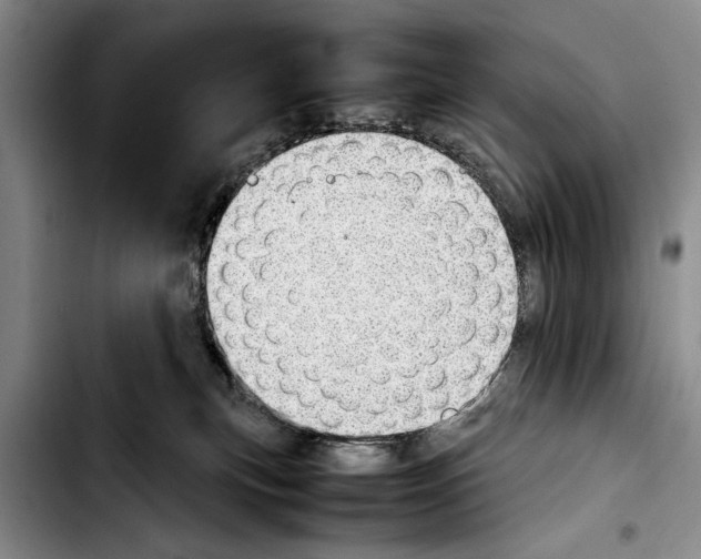 X0000103410183200810101005