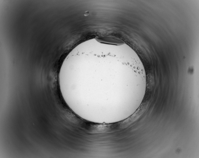 X0000103410184200810101005