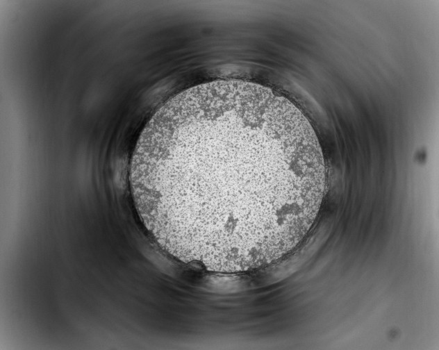 X0000103410189200810101005