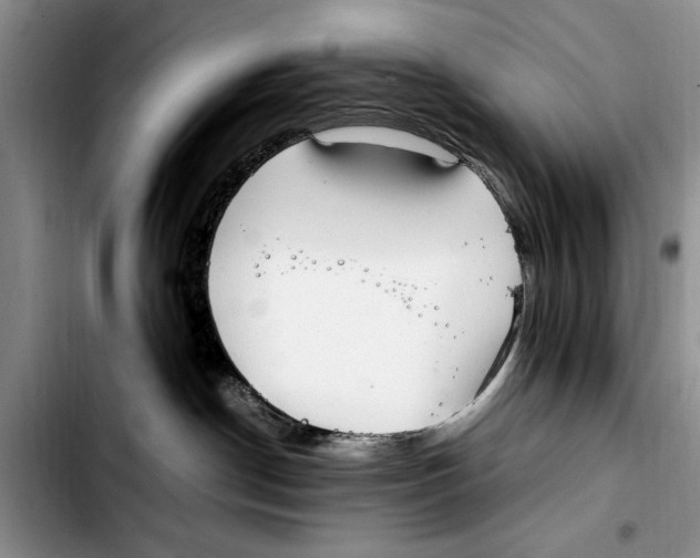 X0000103410190200810101005