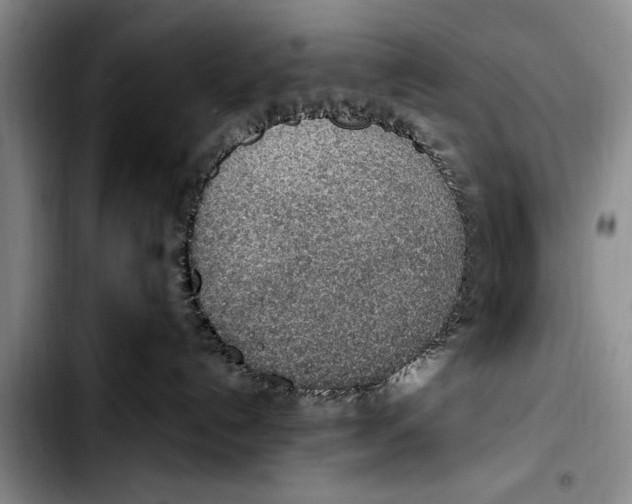 X0000103410192200810101005