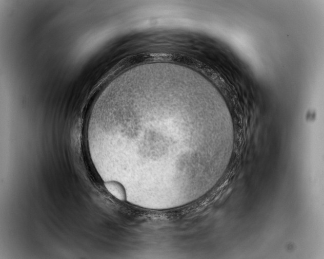 X0000103410194200810101004