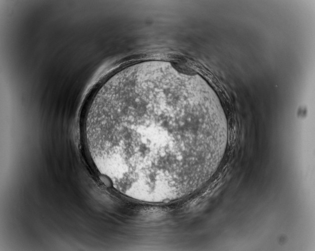 X0000103410198200810101004