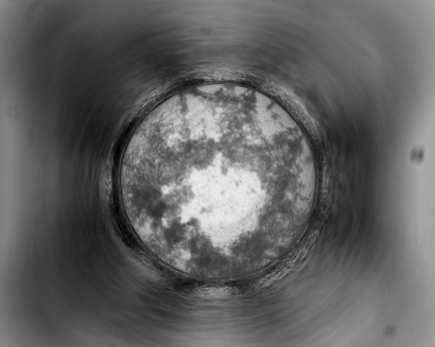 X0000103410202200810101004