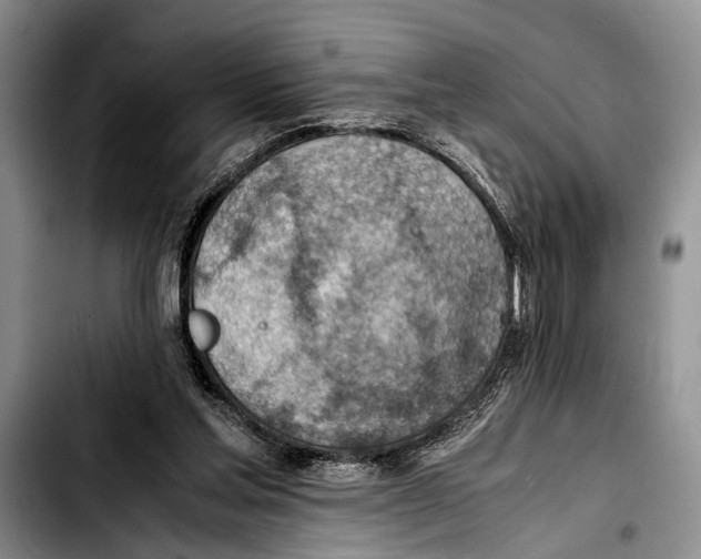 X0000103410205200810101004