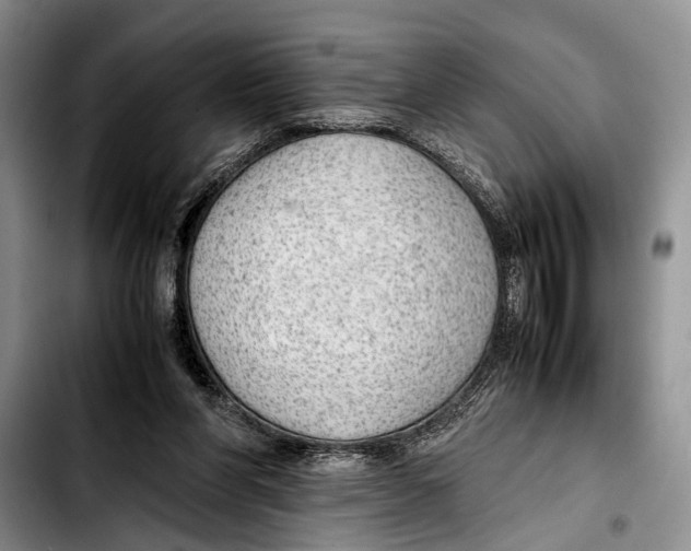 X0000103410206200810101004