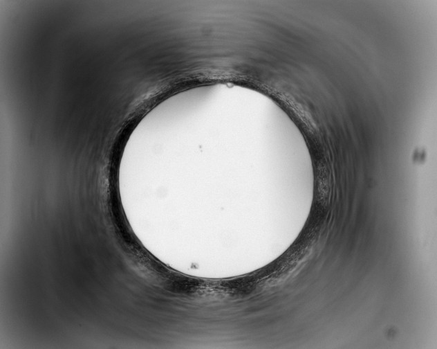 X0000103410207200810101004