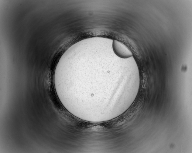 X0000103410210200810101004