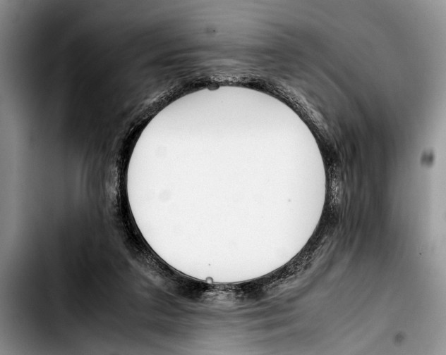 X0000103410211200810101004