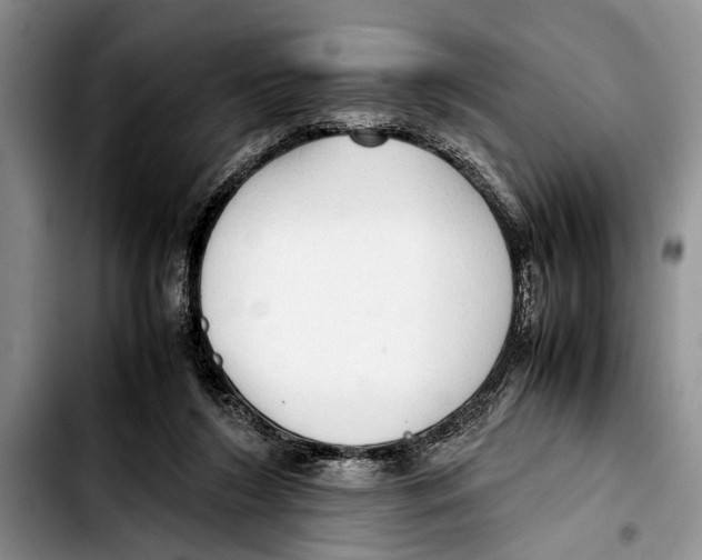 X0000103410212200810101004