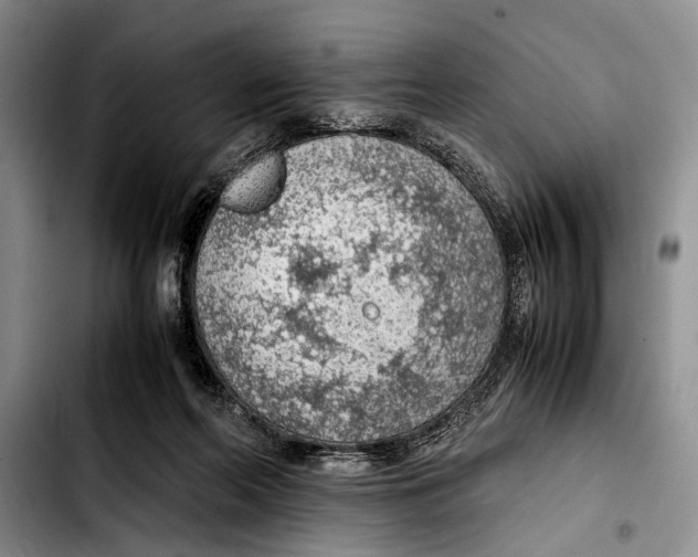 X0000103410214200810101004