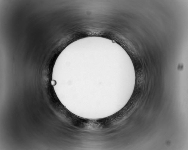 X0000103410215200810101004