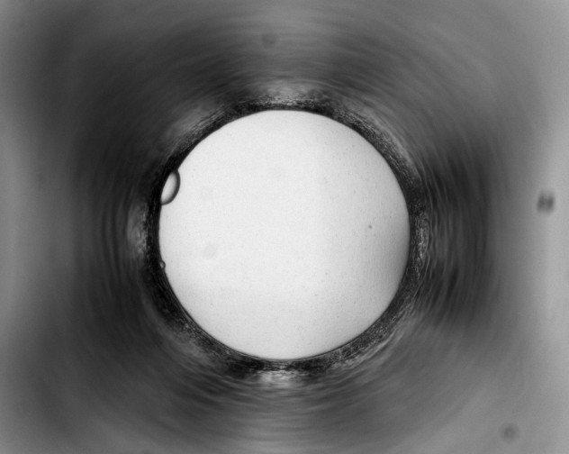 X0000103410216200810101004