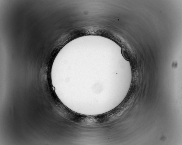 X0000103410217200810101004