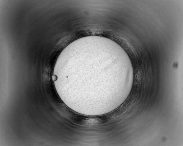 X0000103410218200810101004