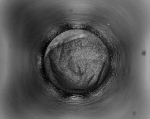 X0000103410219200810101004