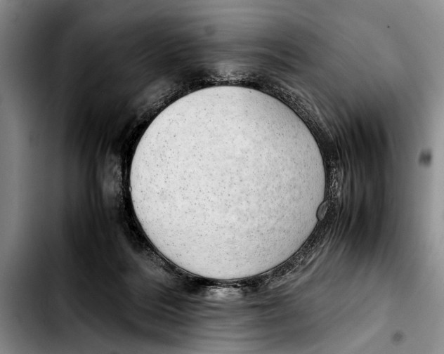 X0000103410220200810101004