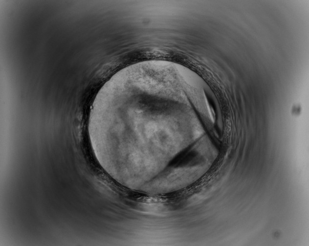 X0000103410223200810101004