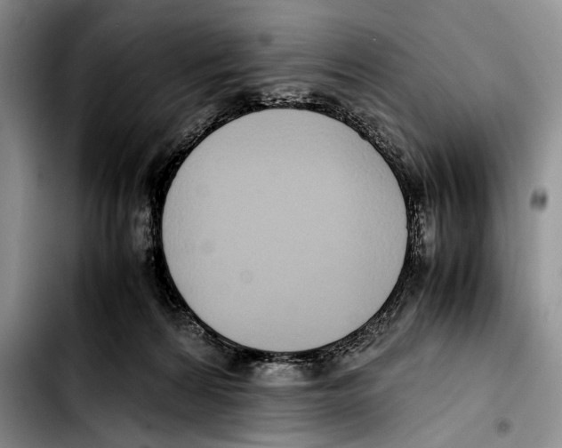 X0000103410224200810101004