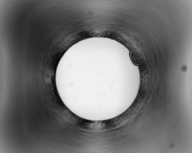 X0000103410225200810101004