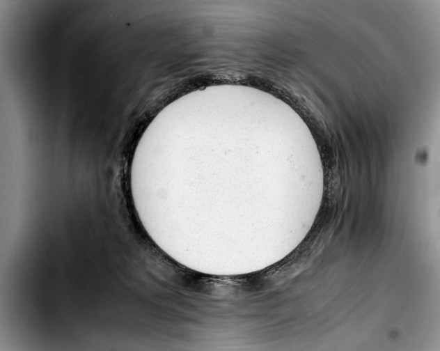 X0000103410229200810101003