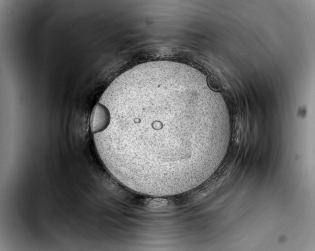 X0000103410230200810101003