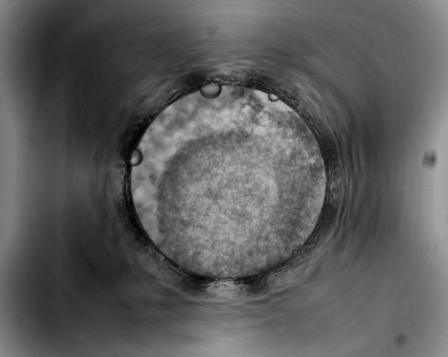 X0000103410231200810101003